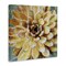 Stupell Industries Yellow Botanical Succulent Bloom Painting Canvas Wall Art